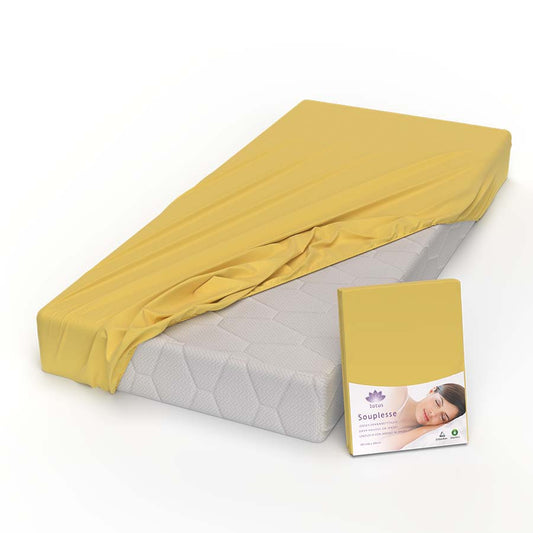 Lotus Jersey Fitted Sheet Souplesse Mais - JFS-1026