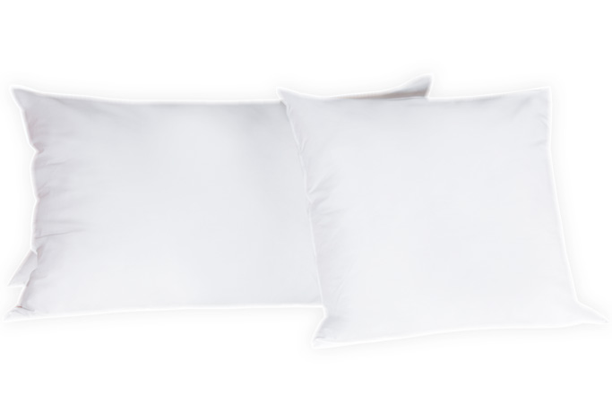 elegance - Kissen Primo silberne Gänsefederchen - A2Z Home