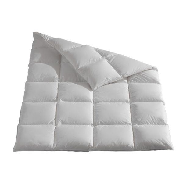 elegance x - ELEGANCE 4 x 6 warm COMFORT - A2Z Home