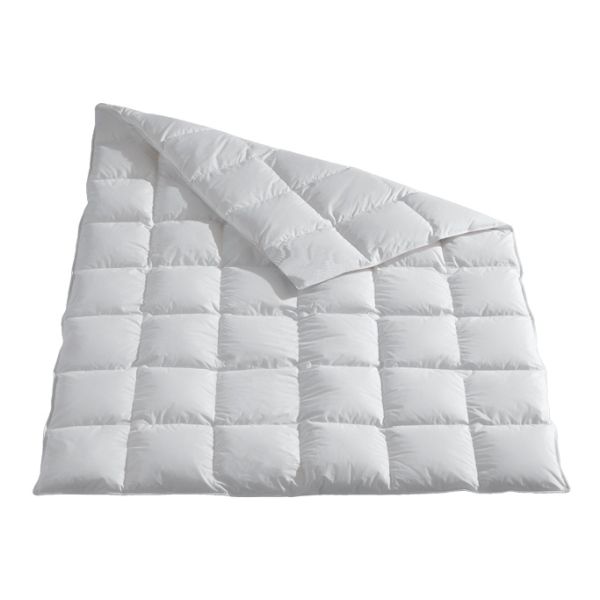 elegance x - ELEGANCE 6 x 8 light COMFORT PLUS - A2Z Home