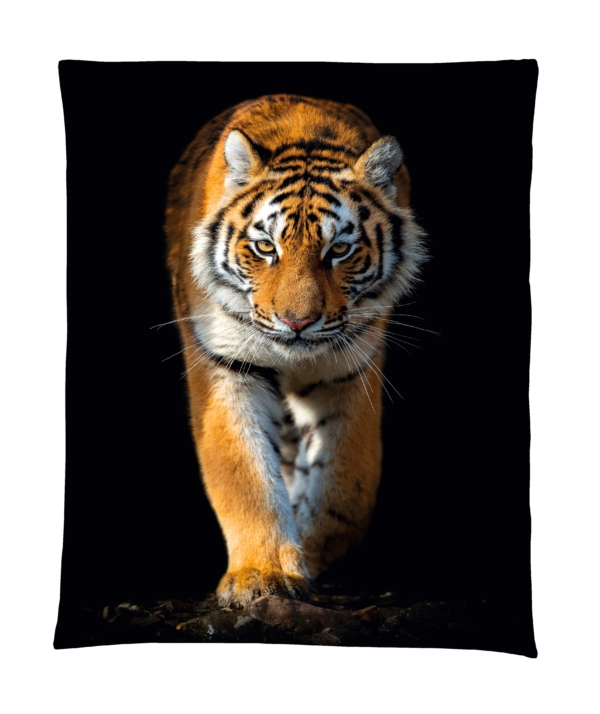 tiger x x - Satin Bettwäsche Tiger, abgepasste Kissen - A2Z Home