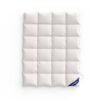 duvet softsleep perfecta v von oben - Duvet Perfecta Ente - A2Z Home